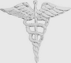 Army Medical Corps Caduceus Pins in Silver - (1 inch)