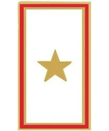 1 Gold Star Service Pin - (7/8 inch)