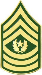 Army Command Sergeant Major E-9 (CSM) Pin - (1 1/4 inch)