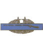 Combat Infantry Badge (CIB) 3rd Award Pin - ANTIQUE SILVER