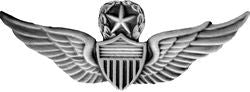 Army Master Aviator Wings Pin - (1 1/8 inch)