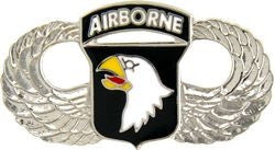 101st Airborne Division Large Pin - (1 1/2 inch)