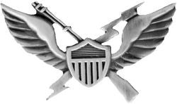 Air Assault Wings Large Pin - (1 7/8 inch)