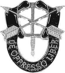 Special Forces Large Pin - 16265 (1 1/8 inch)