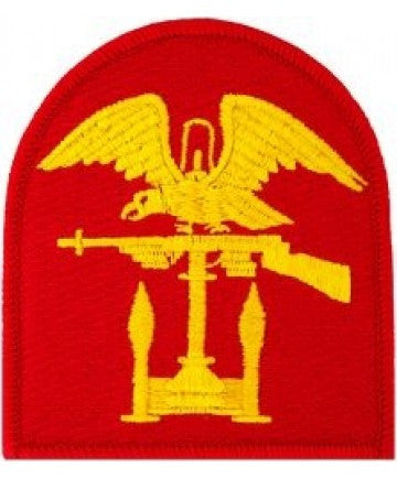 US Navy Amphibious Patch